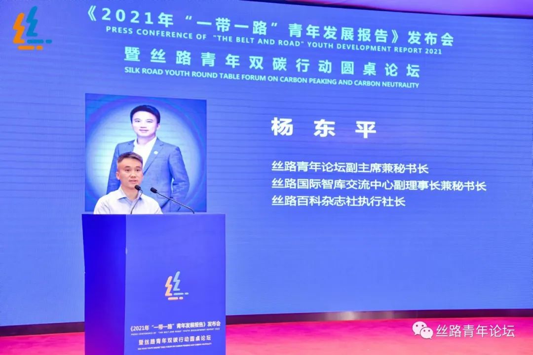 双碳 杨东平.jpg