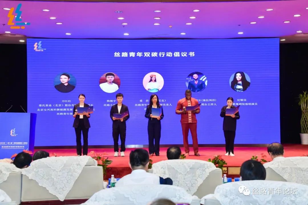 双碳 丝路青年代表.jpg