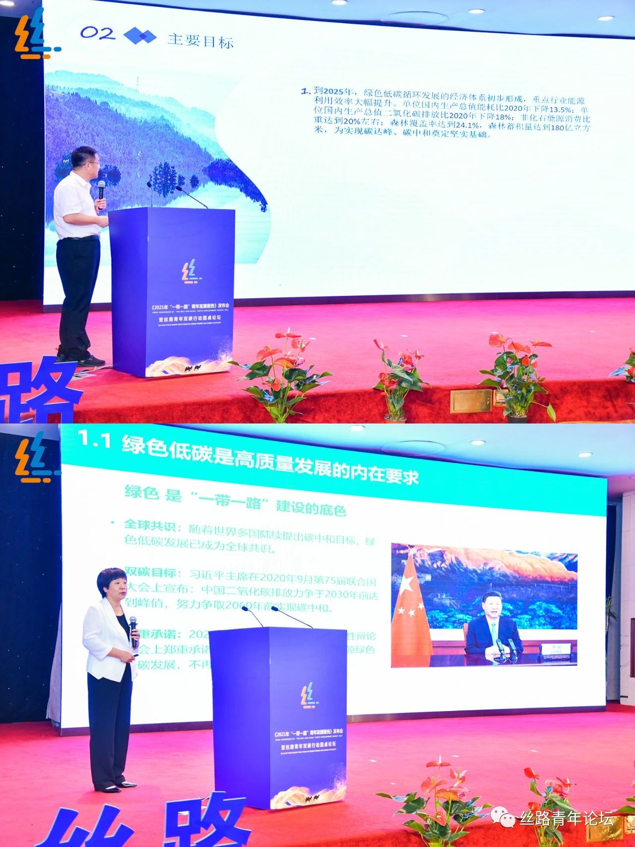 双碳 发言拼图.jpg