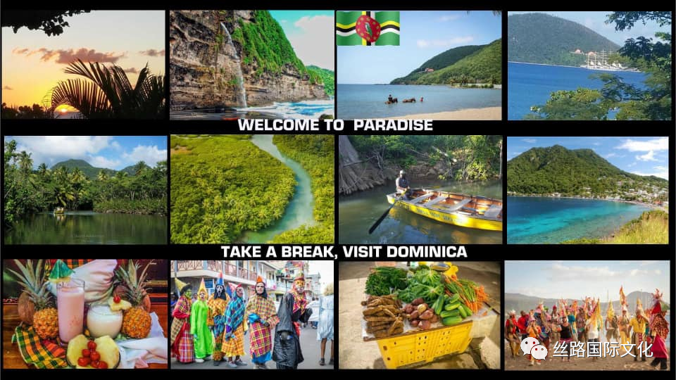 多米尼克自然环境.png