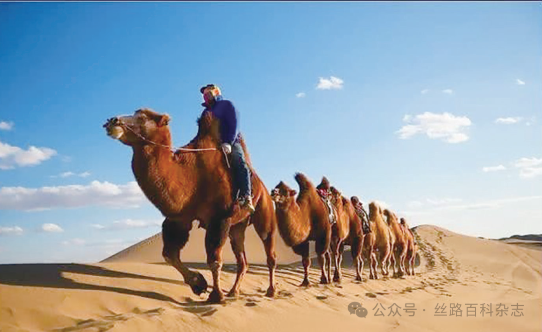 《河西走廊》纪录片剧照.png