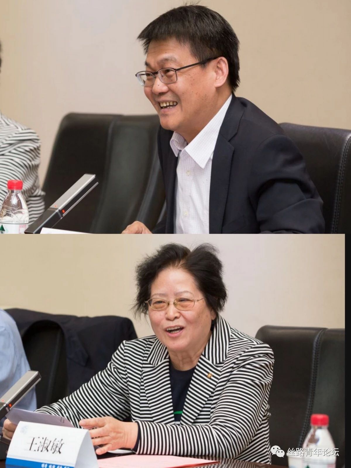 研讨会 丁志杰王淑敏.jpg