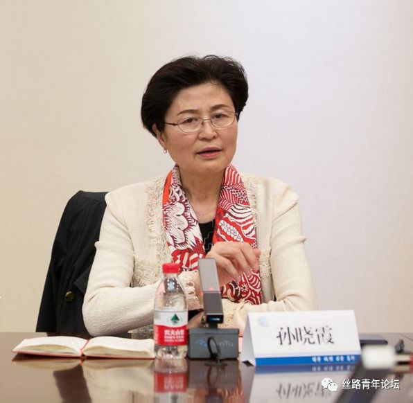 研讨会 孙晓霞.jpg